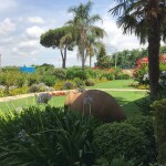 IMG_1831