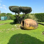 IMG_1883